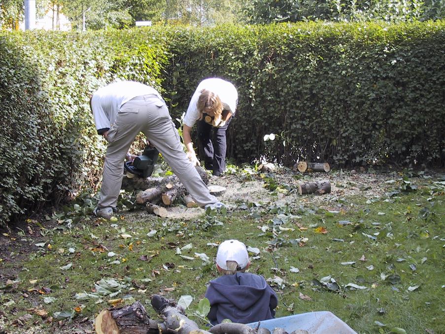 H�r tillverkas �ppelved.