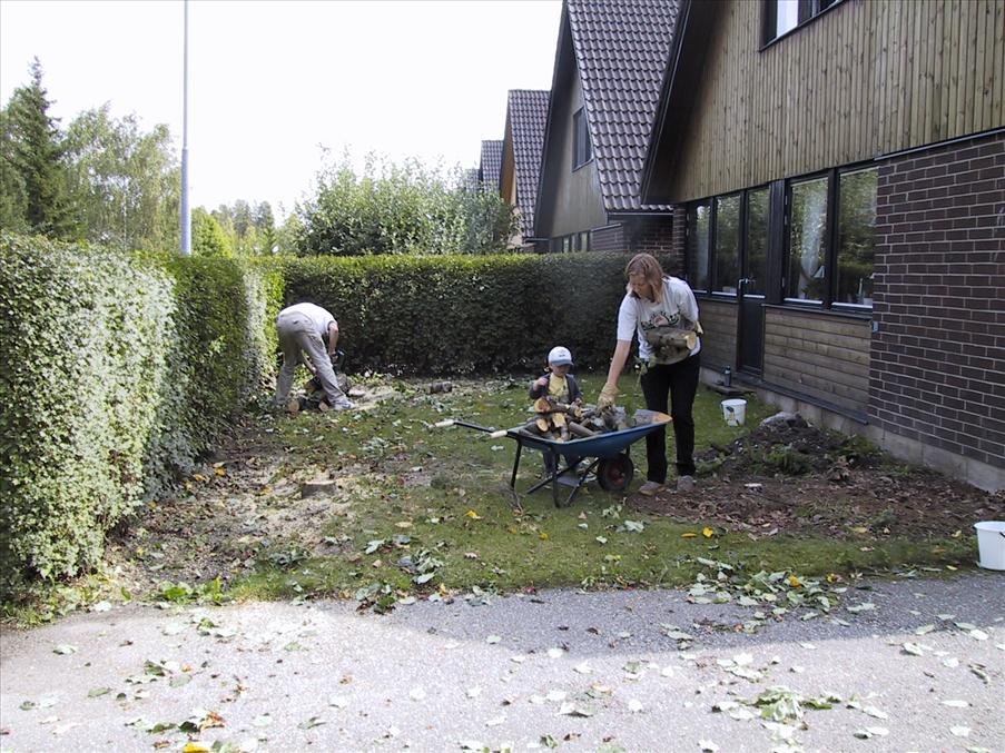�ven v�ra barrv�xter som stod vid v�ggen f�rsvann