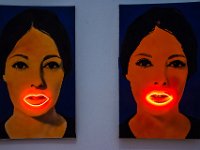 DSC 8371