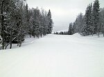 Ingen tr�ngsel i backarna precis...