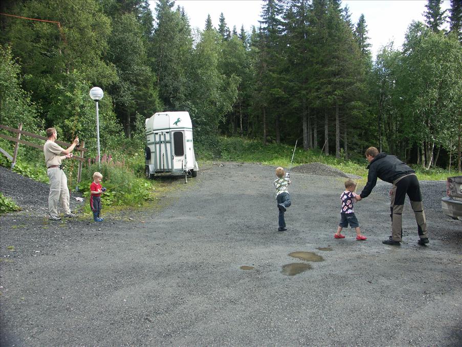 H�r tr�nas kast med sp�