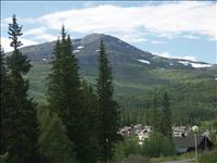 �reskutan sedd fr�n v�gen ovanf�r v�rt hus
