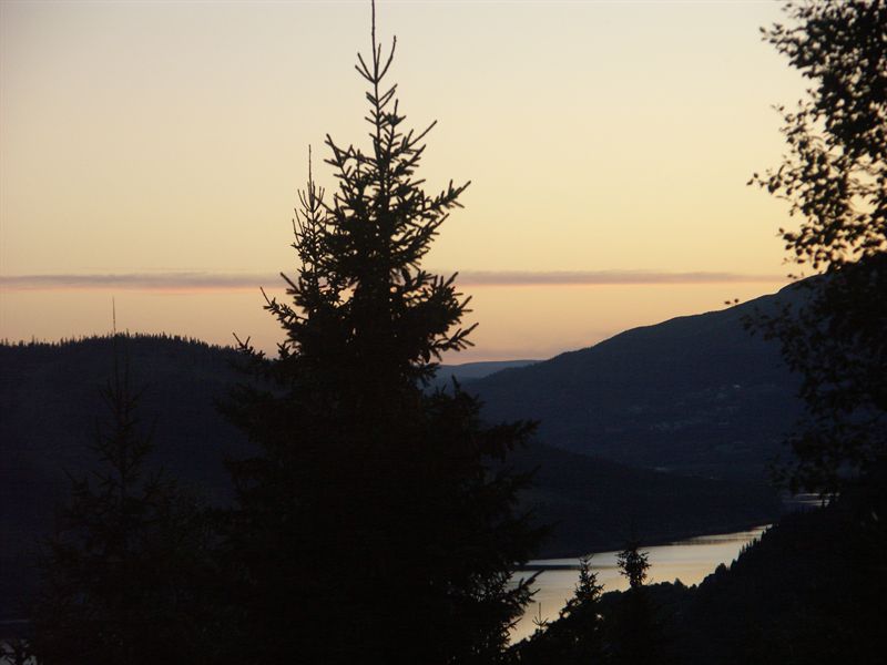Kv�llsvy fr�n verandan.