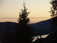 Kv�llsvy fr�n verandan.