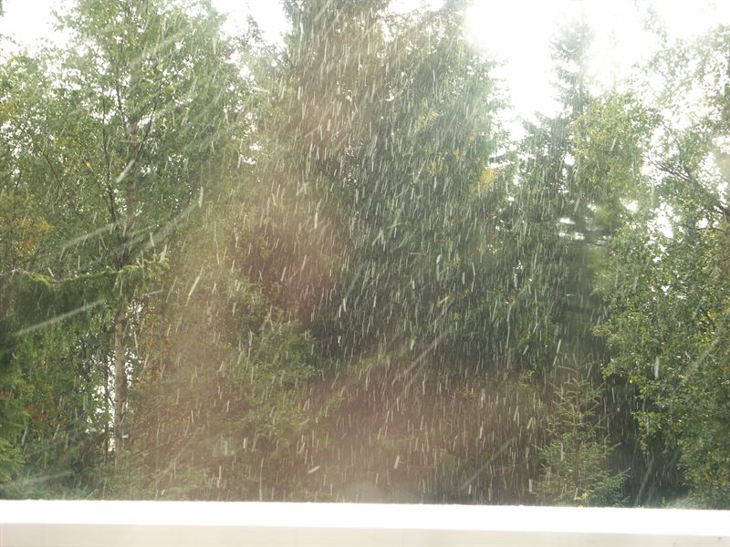 Vi upplevde snstorm p lrdagen