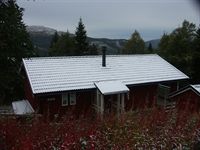 �nnu beh�ver inte taket skottas