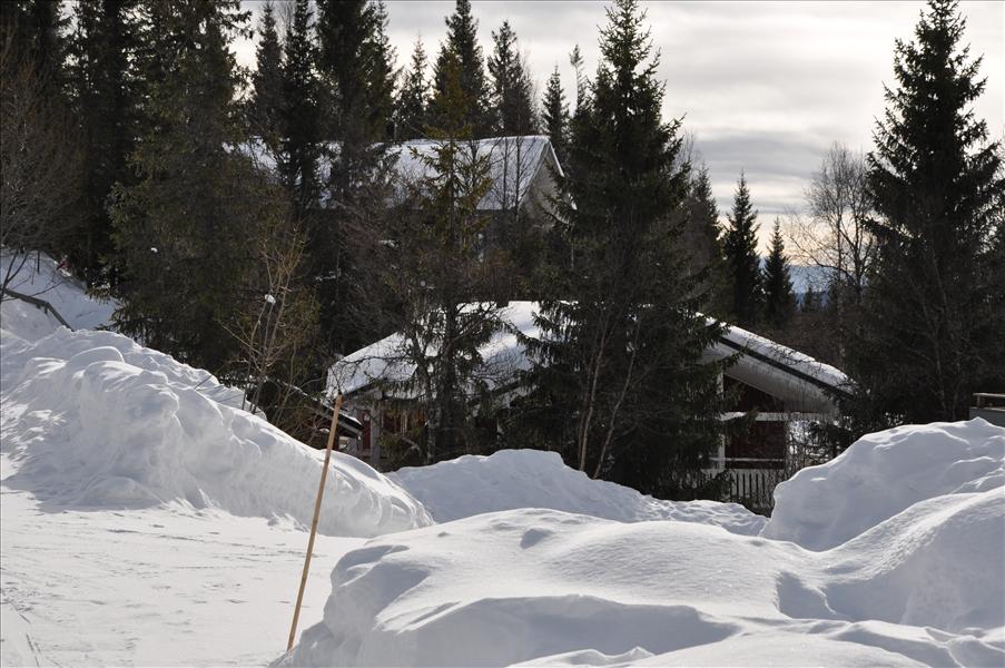 V�rt hus