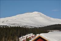 Skutan i sol