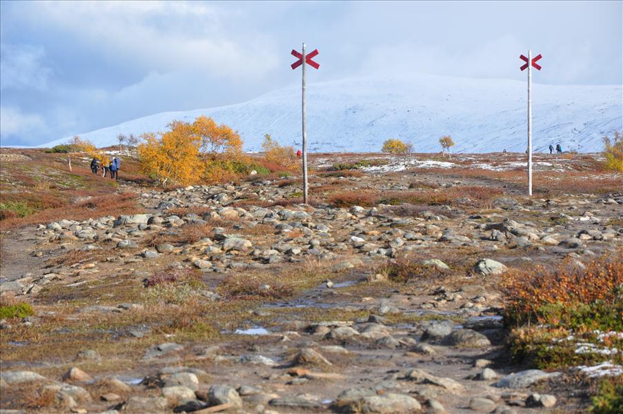 Vi upplevde att det var m�nga vandrare ute p� fj�llet