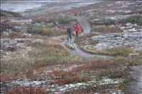 Emellant kom en snby