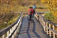 N�stan framme