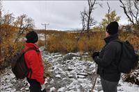 Lite bltt var det p vg upp p fjllet