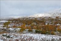 Sol p fjllsidan (men inte dr vi var)