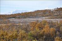 Dr borta syns Sylarna