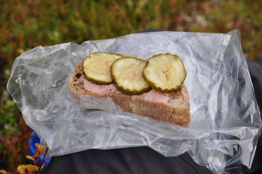Presentation: Leverpastejmacka med gurka ute p� fj�llet