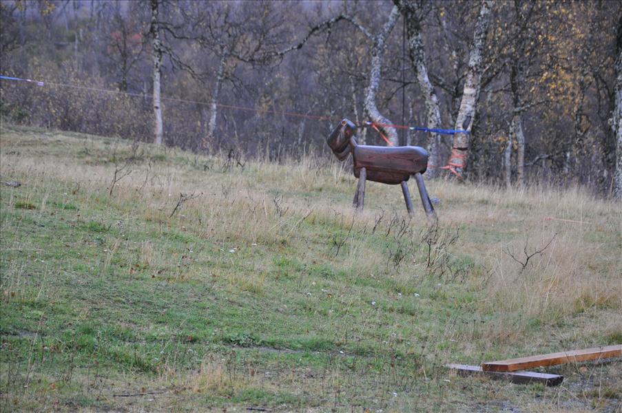 Leif finns inte l�ngre, s� vi f�r h�lla tillgodo med lite stelare djur
