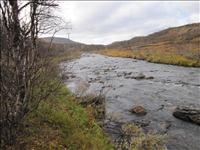 Storulv�n