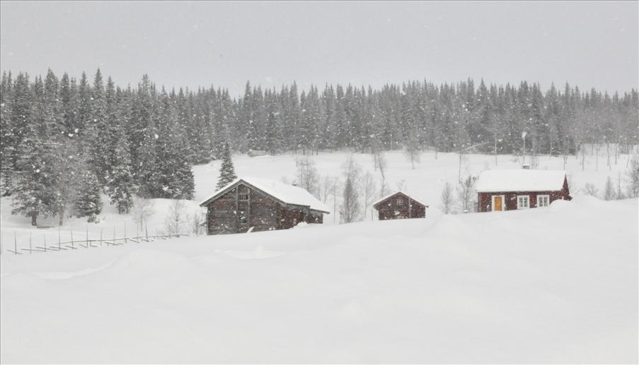 Sellstedtstorpet - det kom en snby precis nr vi kom fram frsta dagen