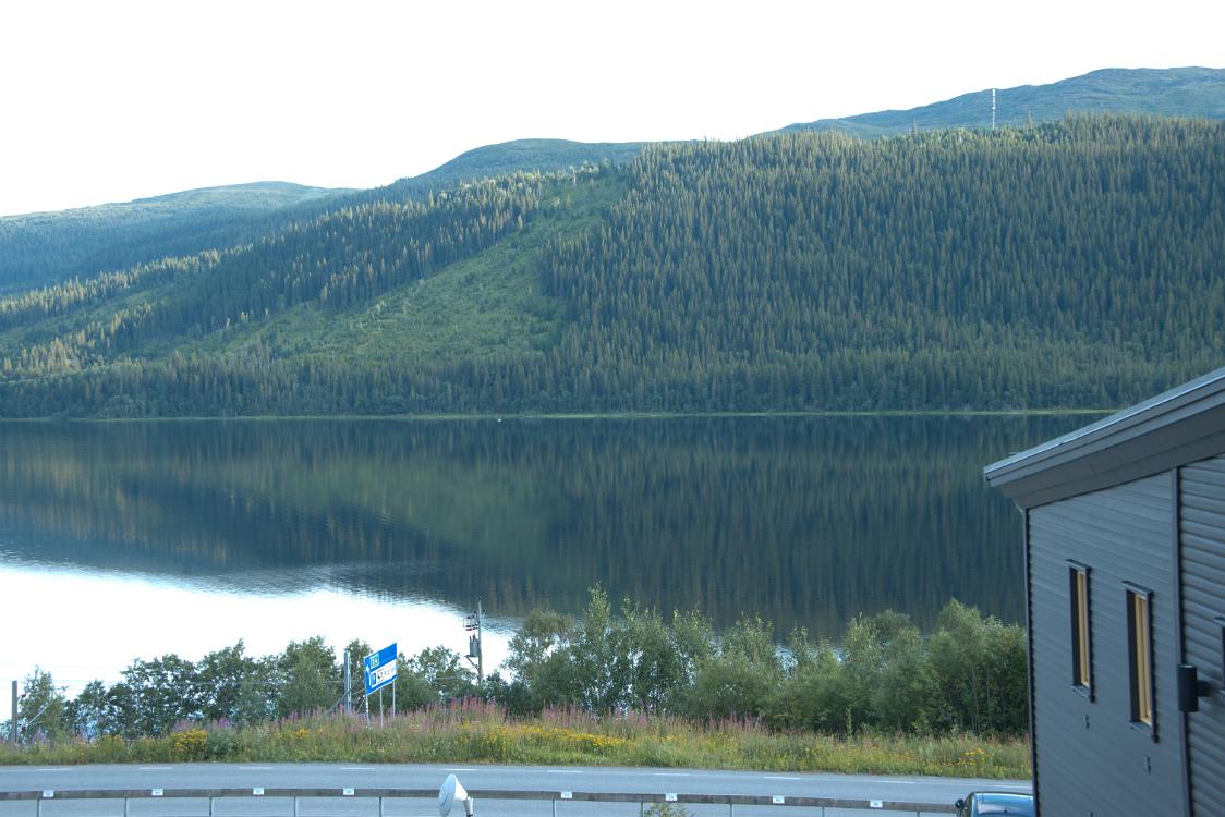 DSC 0556