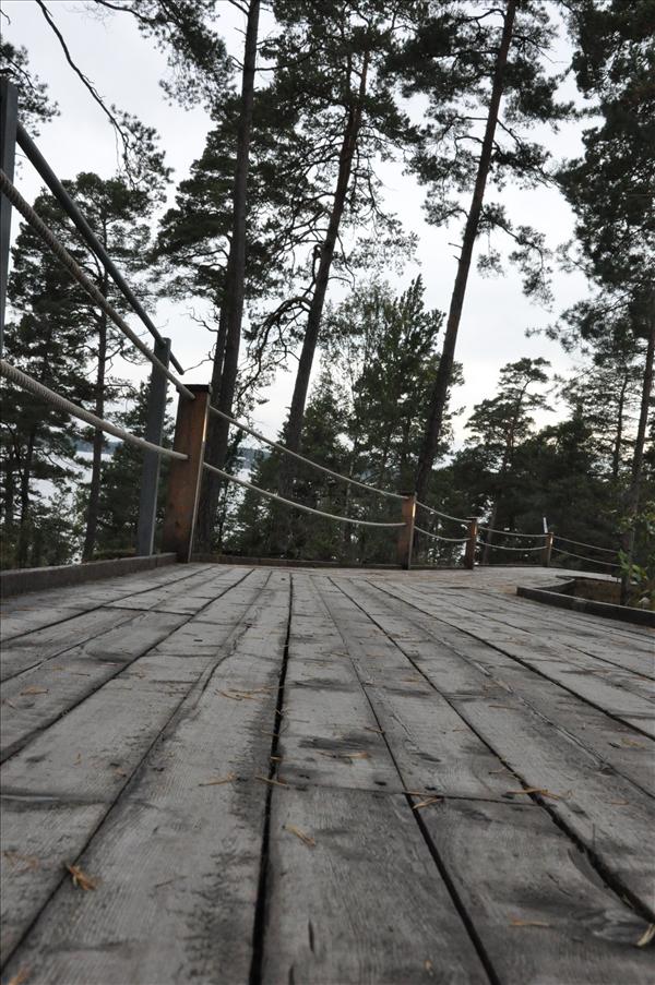 Handikappv�nlig sp�ng