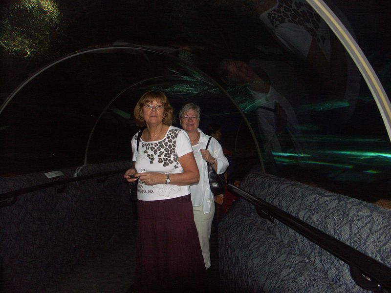 Damerna i tunneln