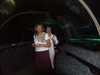 Damerna i tunneln