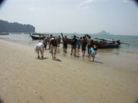 P� v�g till Railey Beach i long tail-b�t
