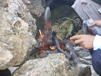 H�r grillas bl�ckfisk