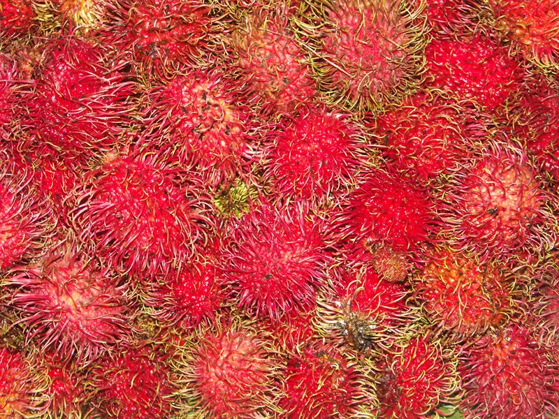 Rambutan