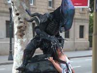 DSC 6393