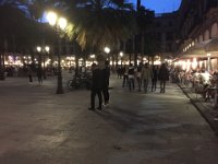 Placa Reial