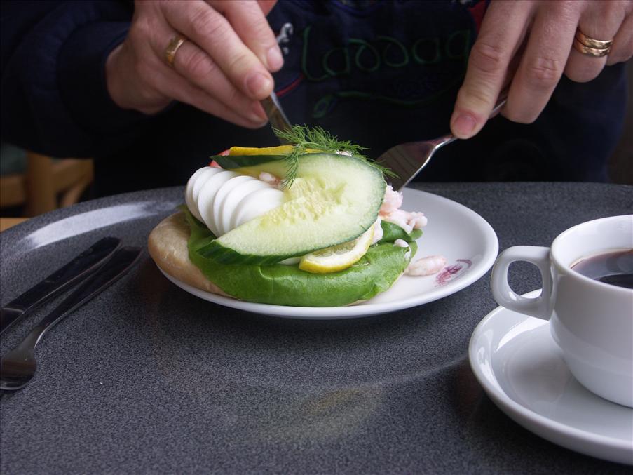 Evas r�kmacka vid Brahehus...