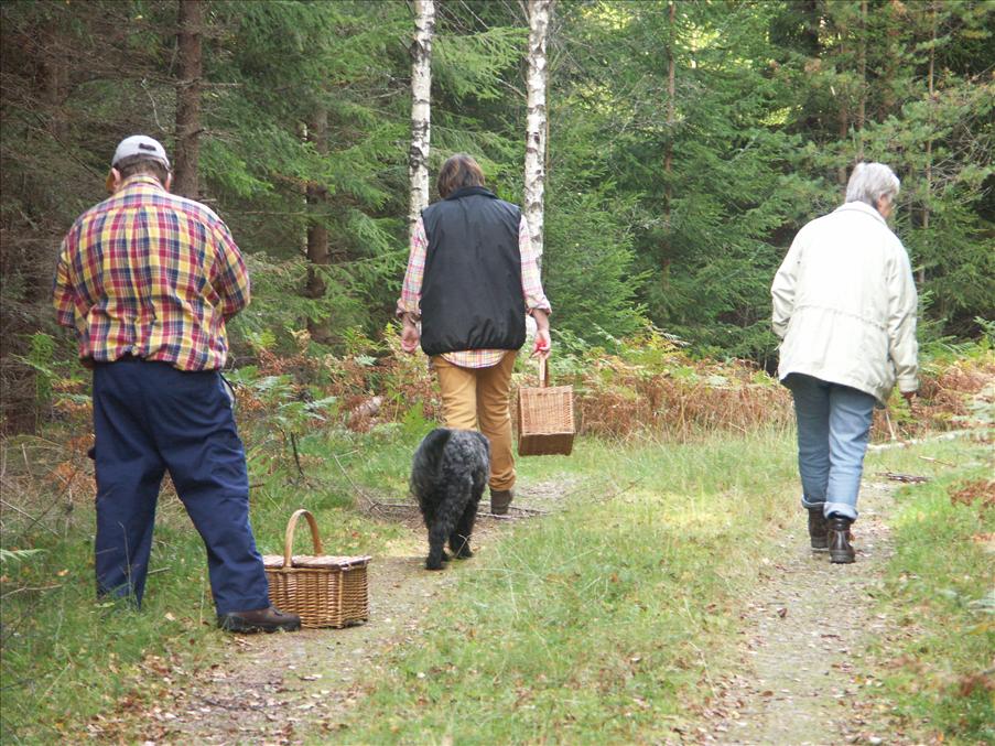 Alla har blicken i marken