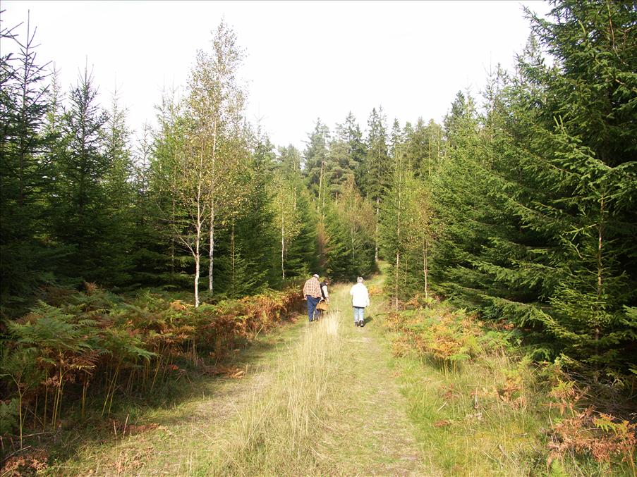Det blev en mycket fin eftermiddag i svampskogen