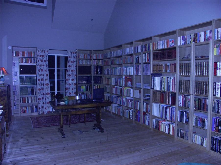 Det nyinredda biblioteket