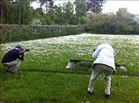 Fotografer i aktion...