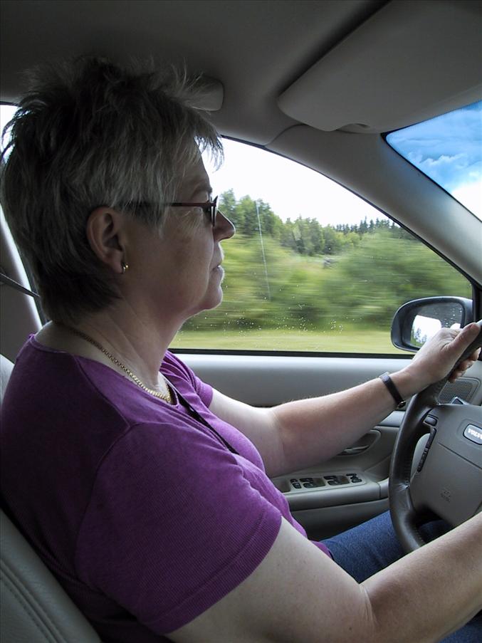Driver