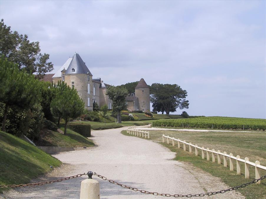 Mest ber�mt i dessa trakter - d'Yquem