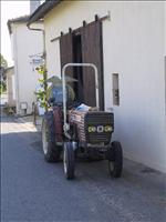 Alla traktorer �r smala h�r (f�r att f� rum mellan vinstocksraderna)