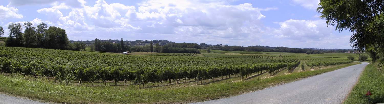 Vin i Bordeaux