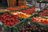 M�nga olika sorters tomater