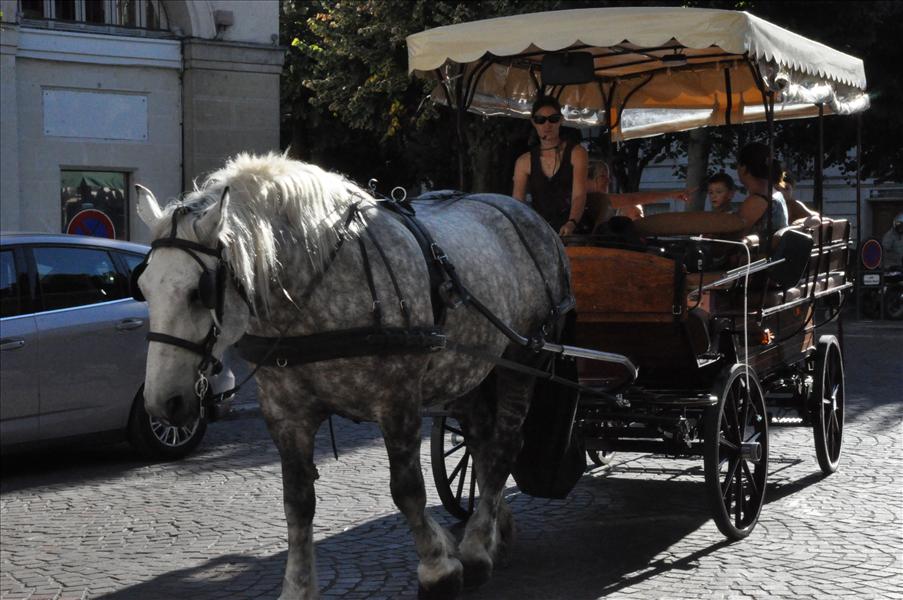 Stadens turisth�st