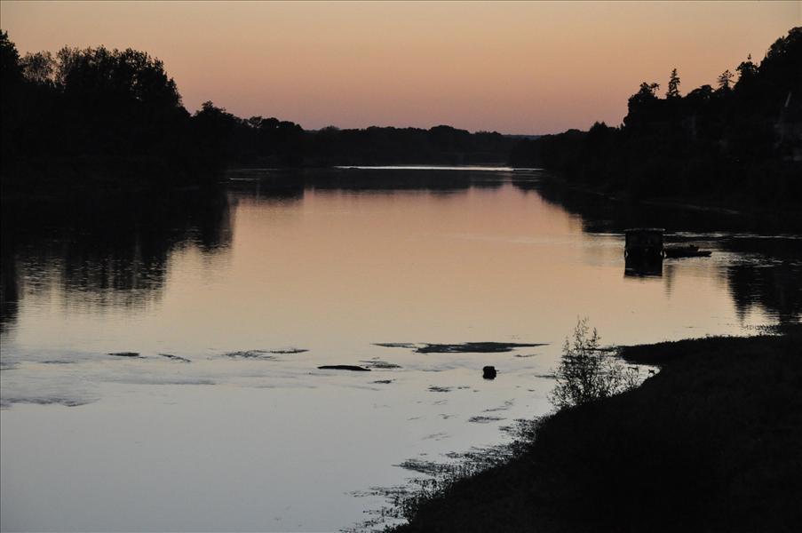Floden Vienne