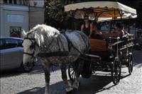 Stadens turisth�st