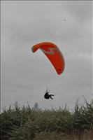 En annan vanlig sport h�r