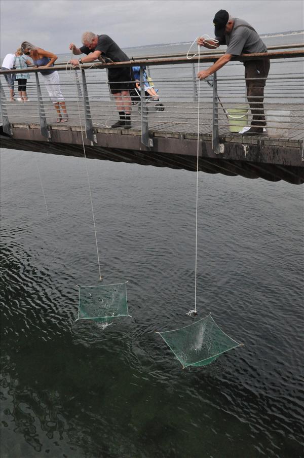 H�r fiskas det
