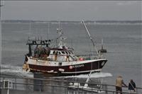 P� v�g in till hamnen
