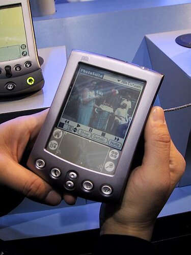 Palm med f�rg