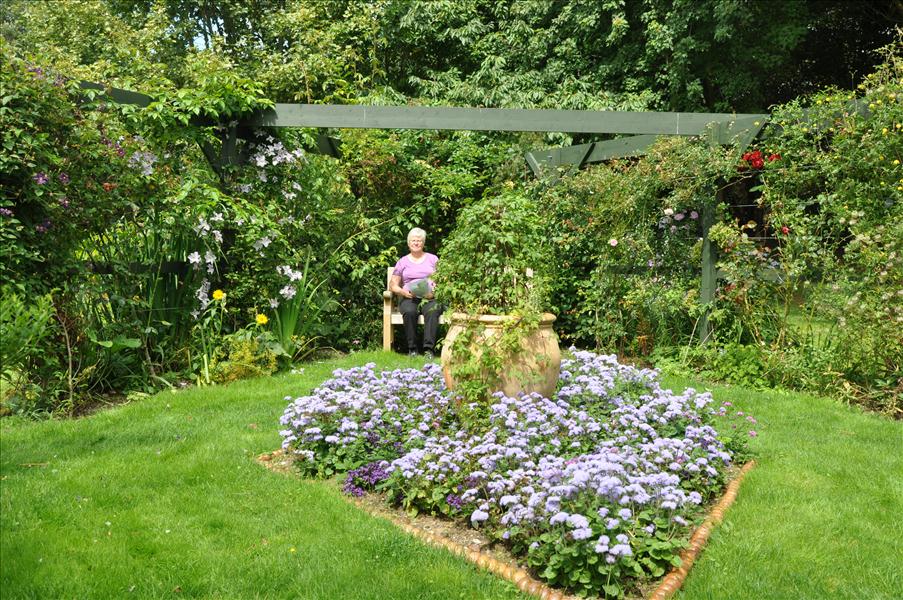 P� ett st�lle fanns ett avgr�nsat rum med spalj�er runt. Olika sorters Clematis och rosor kl�ttrade p� spalj�erna.