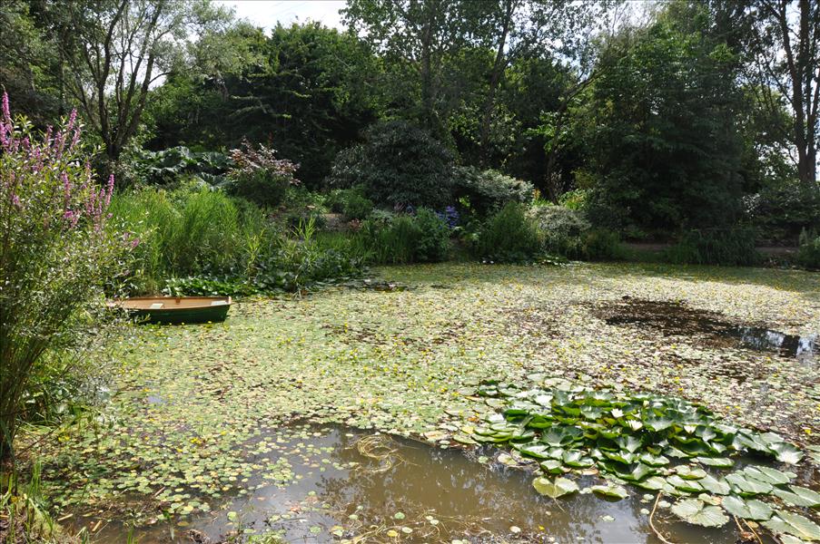 Dammen �r naturlig, inte anlagd